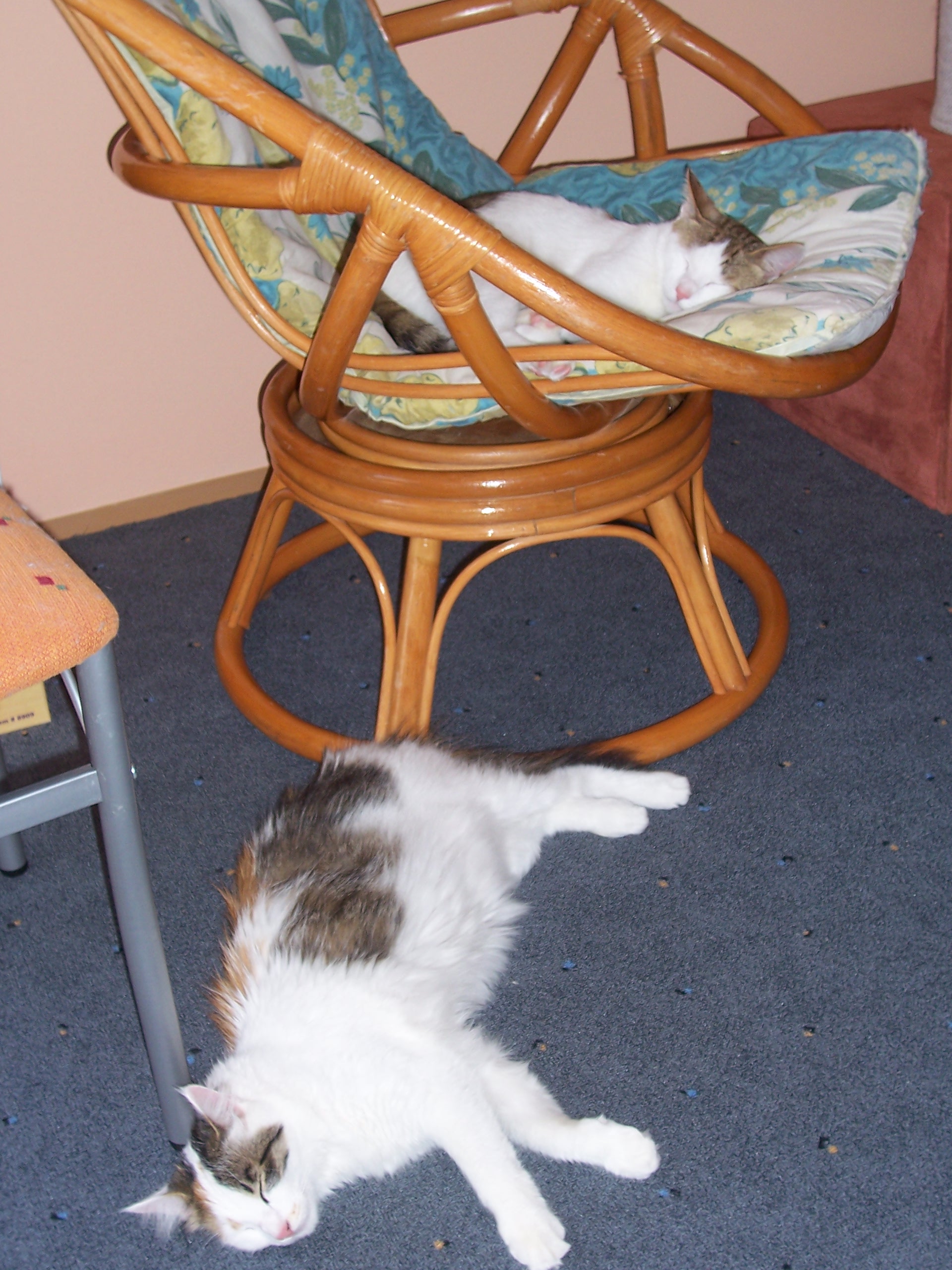 100_2684.JPG
