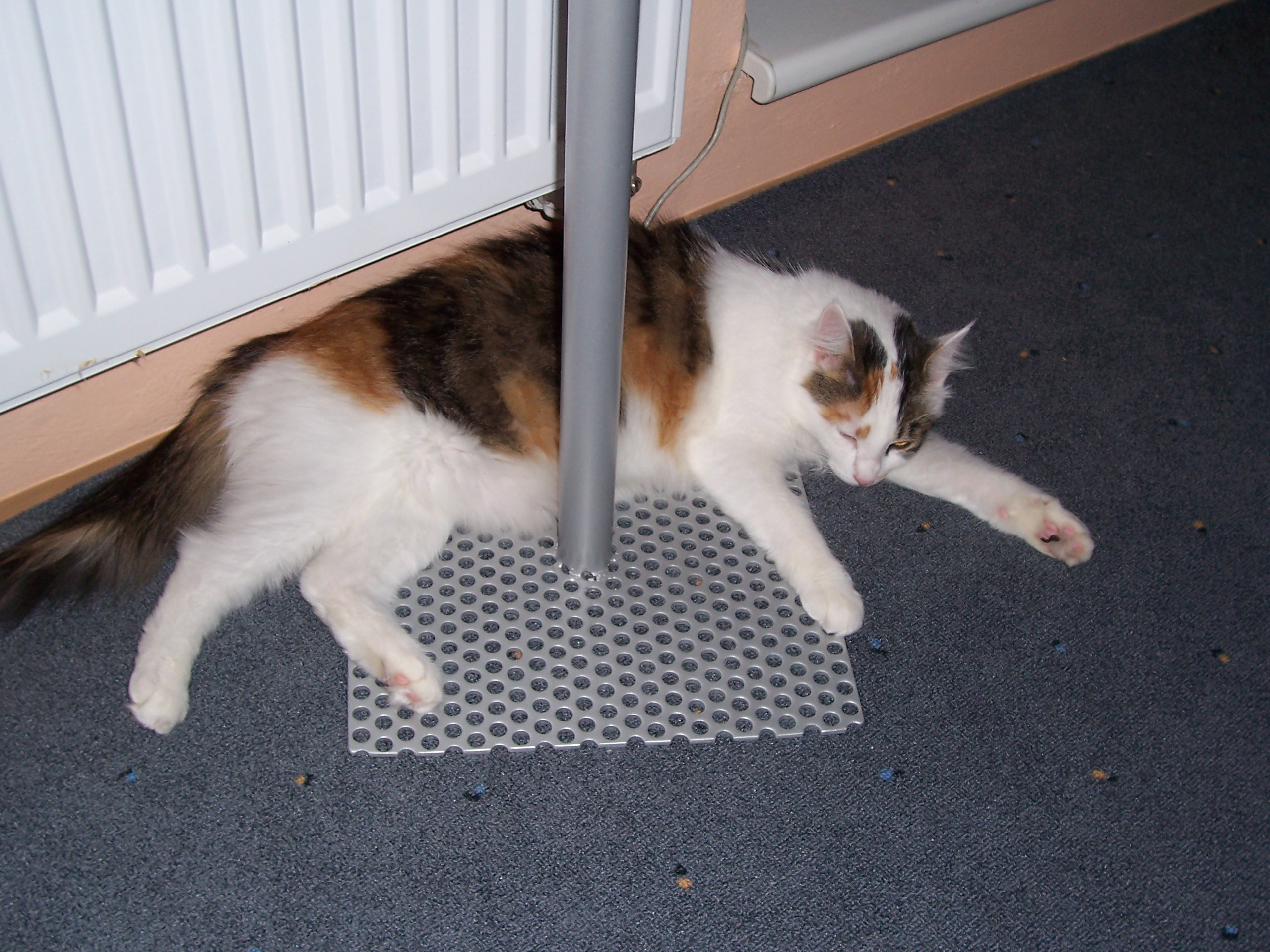 100_2698.JPG